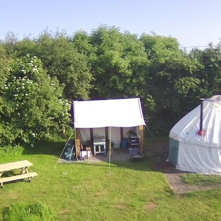 Mill Haven Place Glamping-Yurt 1 Talbenny 외부 사진