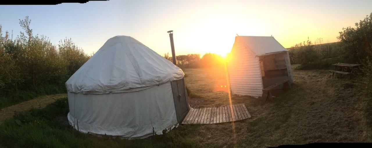 Mill Haven Place Glamping-Yurt 1 Talbenny 외부 사진