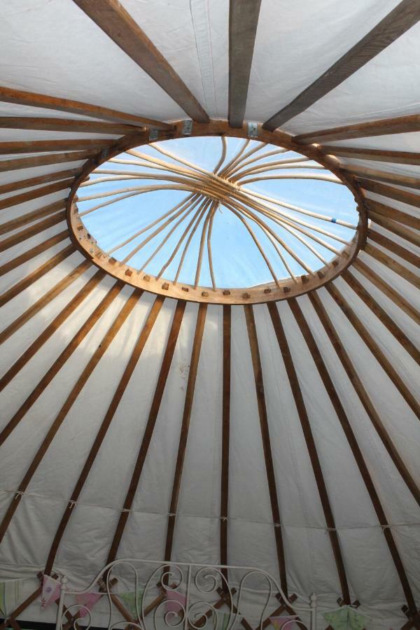 Mill Haven Place Glamping-Yurt 1 Talbenny 외부 사진