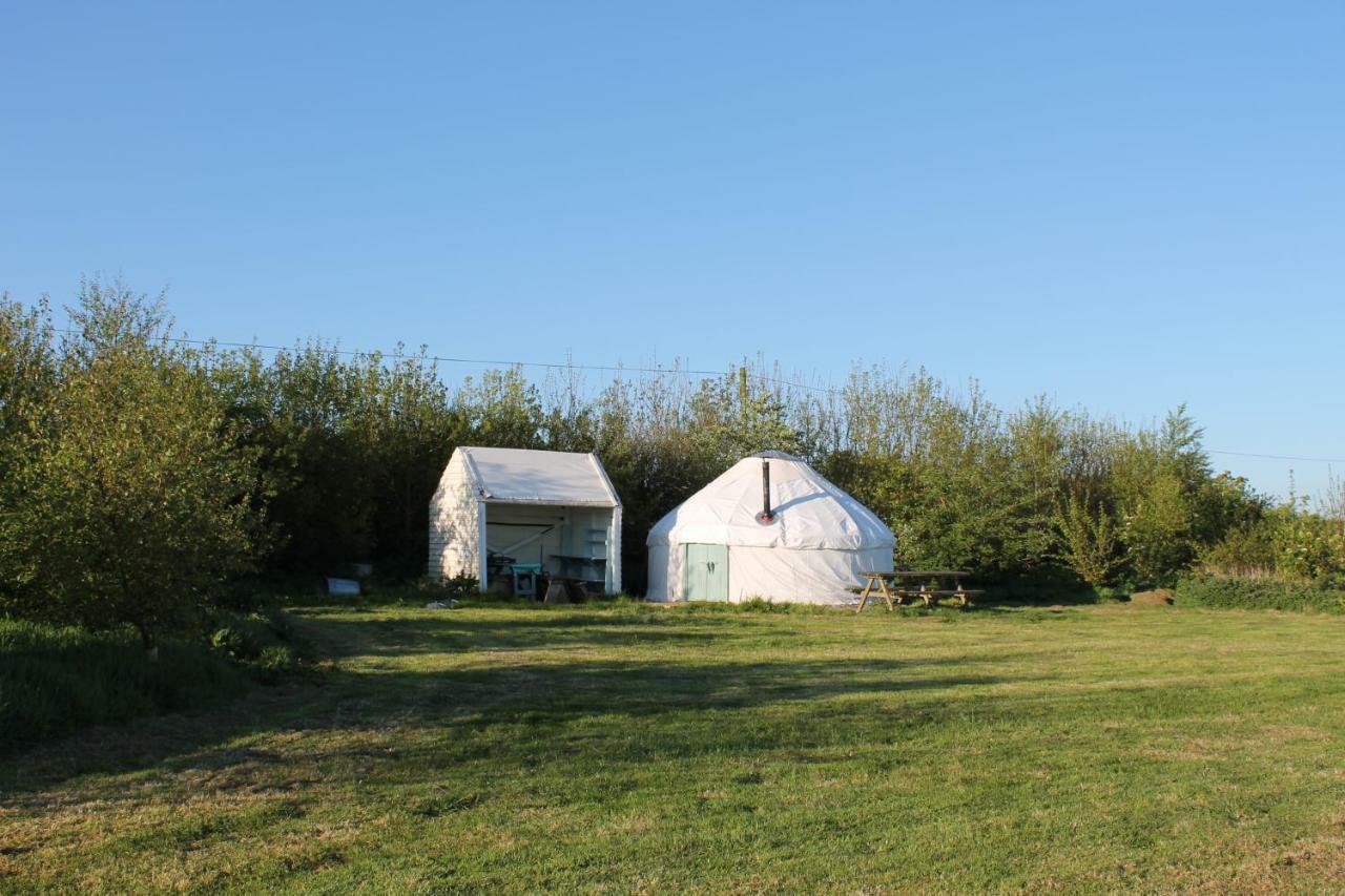 Mill Haven Place Glamping-Yurt 1 Talbenny 외부 사진