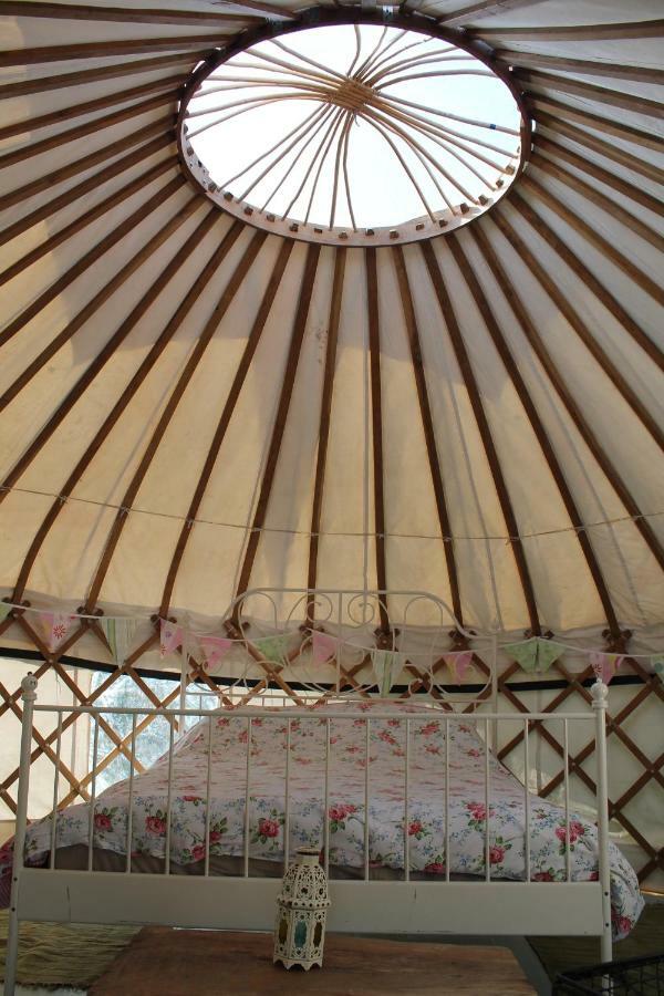 Mill Haven Place Glamping-Yurt 1 Talbenny 외부 사진