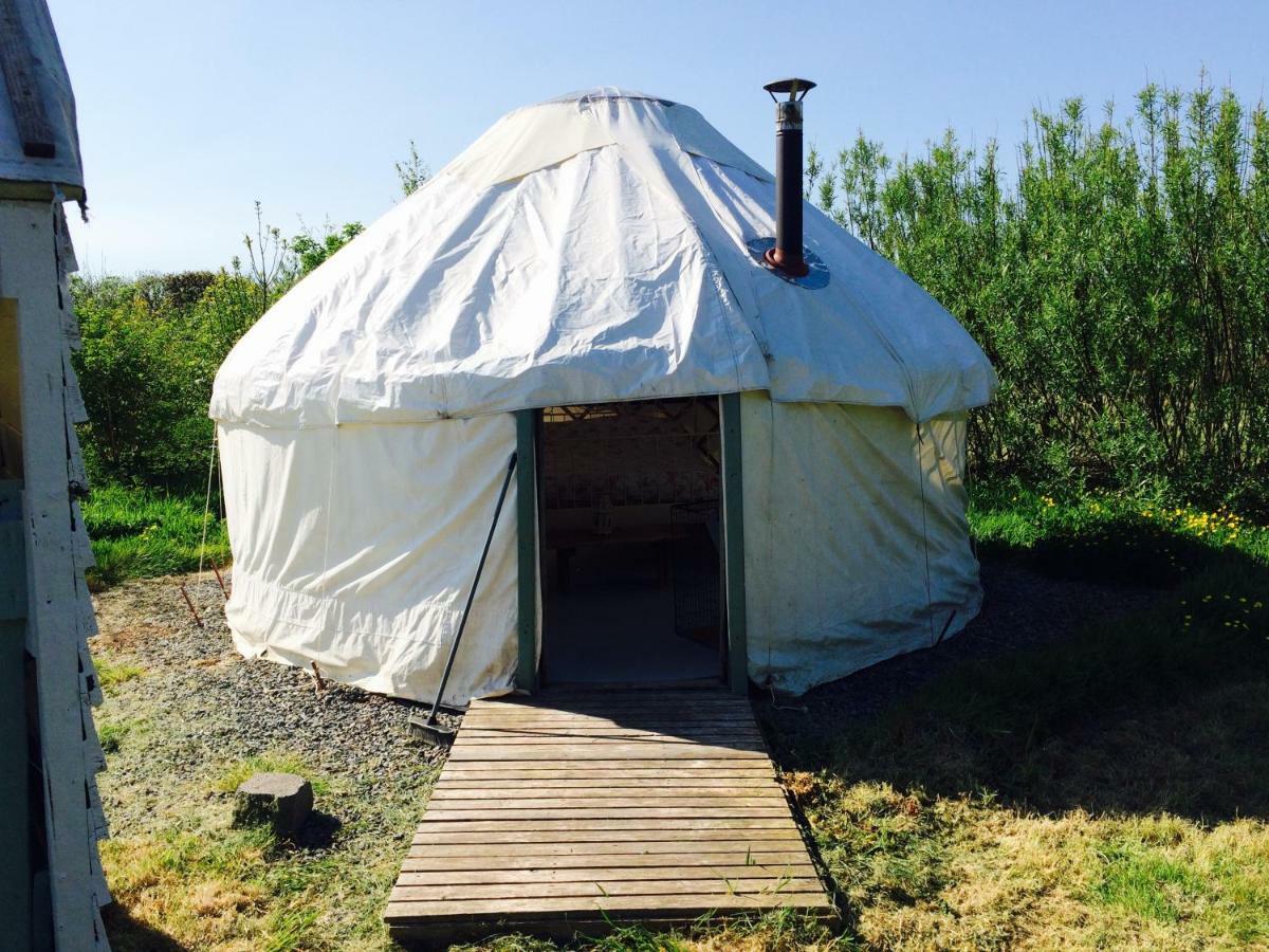 Mill Haven Place Glamping-Yurt 1 Talbenny 외부 사진