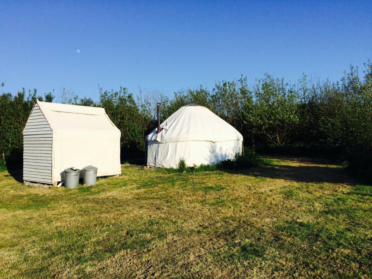 Mill Haven Place Glamping-Yurt 1 Talbenny 외부 사진